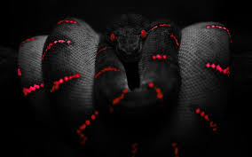 Black And Red Wallpapers Hd Wallpaper Cave All pictures are free of charge and licensed under the free pexels license. black and red wallpapers hd wallpaper