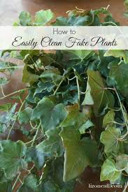 Transfer the vinegar solution in a clean spray bottle spray the mixture on the plastic plant surfaces wipe away the residue gently How To Easily Clean Fake Plants Liz On Call