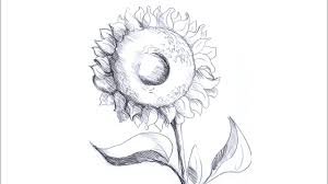 Aici vei invata sa realizezi flori frumoase, in creion, urmarind mai jos poti urmari o alta tehnica de desene in creion cu maci, la fel de simpla.se porneste cu un oval si tulpina florii. Desen In Creion Cu Floarea Soarelui How To Draw Sunflower In Pencil Youtube
