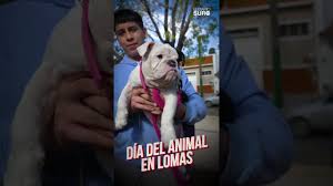 De cumpleaños para perros a regalos especiales: los homenajes de los  vecinos de Lomas en el Día del Animal