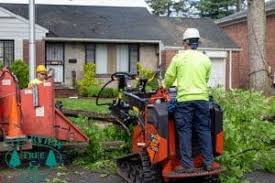 For all your tree trimming, falling and removal needs, count on the experts at all american tree service.we are extremely experienced in the business and work hard to make sure that every removal causes as little disturbance to the rest of your property as possible. Tree Service Tree Removal In Long Island Ny Suffolk Tree Services