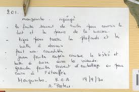 Image result for Sarcophrynium prionogonium