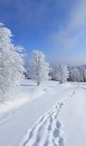 Winterbilder tiere als hintergrundbild : Schone Winterbilder Fur Ihr Handy 99 Bilder Kostenlos