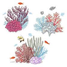 Hand Drawn Underwater Natural Elements Sketch Of Vivid Reef Coral Art Coral Reef Art Coral Reef Drawing