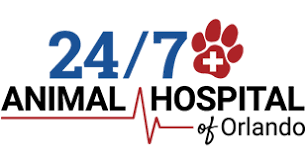 Colorado's 24/7 emergency veterinarian & animal hospital. Veterinarian In Orlando Fl 24 7 Animal Hospital Of Orlando Fl