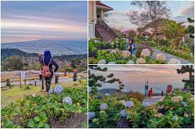 Boleh dikatakan saban minggu ada sahaja rider dari luar berkunjung untuk mencari nikmat penurunan dengan membelah akar. Weekend Kat Gunung Jerai Tak Perlu Hiking Bawa Kereta Je Naik Terus Libur