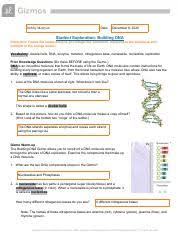 Rate free building dna gizmo answer sheet form. Building Dna Gizmo Pdf Name Date Student Exploration Building Dna Inq 16 Com Vocabulary Double Helix Dna Enzyme Mutation Nitrogenous Base Nucleoside Course Hero