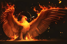 The creature lived for five . Phoenix Bird Posts Facebook