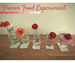 Once you have it mixed, grab a clean vase and remove all the leaves that would be underwater in the vase. Homemade Flower Food Experiment Garden Tea Cakes And Me