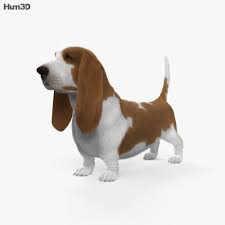 Maybe you would like to learn more about one of these? ãƒã‚»ãƒƒãƒˆ ãƒã‚¦ãƒ³ãƒ‰ 3dãƒ¢ãƒ‡ãƒ« å‹•ç‰© On Hum3d