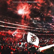 Cenouras Do Benfica Cenourasbenfica Twitter Benfica Wallpaper Sporting Lisboa Sport Lisboa E Benfica