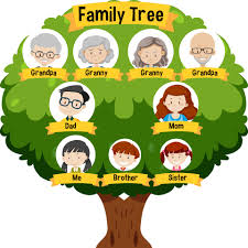 The ngs family history skills online course—free to ngs members—is a good starting point for how to build a family tree. Diagram Showing Three Generation Family Tree 1929274 Vector Art At Vecteezy