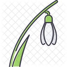 Download Free Snowdrop Colored Outline Icon Available In Svg Png Eps Ai Icon Fonts