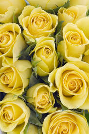 Check spelling or type a new query. Pin On Valentine Ideas