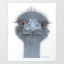 The Blue Emu Art Print By Wendyberry Tap And Buy Right Now Society6 Emus Art Blue Emu Art Prints