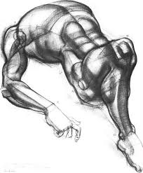 I hope you find it useful! Column Forms Of The Arms And Legs Figure Drawing Joshua Nava Arts