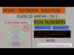 Real Numbers Class 10 Maths Cbse Ncert Exercise 1 1 Question 5 In 2020 Math Textbook Math Maths Solutions