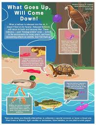 What Goes Up Will Come Down Please Reconsider Balloon Releases Releasing Balloons Is Just Littering Into The Air A Wildlife Balloon Release Save Our Oceans