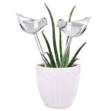 Amazon Com Plant Waterer Self Watering Globes Hand Blown Clear Glass Plant Water Bulbs For Indoor Watering Bulbs Plants Plant Watering Bulbs
