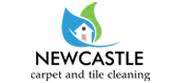 Patience carpet cleaning newcastle, experience spanning twenty nine years. Professional Pest Control Service In Newcastle