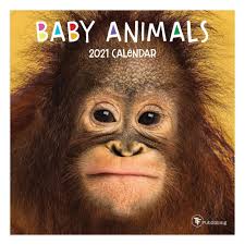 2021 Mini Wall Calendar 7 X 7 Baby Animals The Time Factory In 2020 Baby Animals Mini Calendars Wall Calendar