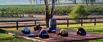 We did not find results for: Online Yoga Classes Sabijn Linssen Yoga