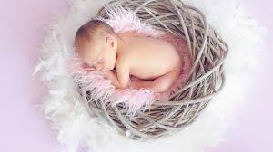 Ramai haiwan mempunyai nama yang bermula dengan huruf n, dan mereka berbeza mengikut bentuk, saiz, dan warna. 50 Nama Bayi Perempuan Islami Dua Suku Kata Memiliki Makna Yang Baik Ragam Bola Com