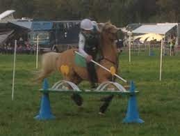 Pony Games Mga Equipment Ireland