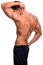 Maybe you would like to learn more about one of these? Back Muscles Shoulder Torso Muscular Back Anatomy Reference Anatomy Poses