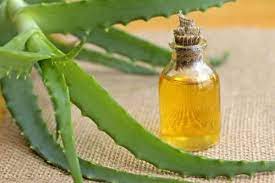 Aloe Vera Yagi Nasil Yapilir Ve Kullanilir Cilde Saca Faydalari Nelerdir Kozmetrik