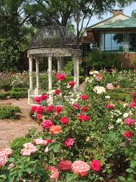 Rose Garden At Furman University Rose Garden Design Rose Garden Landscape Rose Garden