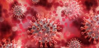 The latest news and updates on the coronavirus outbreak from cnbc's global teams in asia, europe and the u.s. Informationen Zu Covid 19 Was Sind Coronaviren