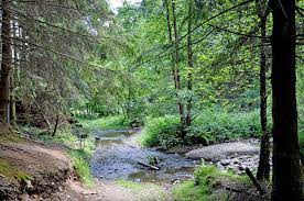 La truite d'argent is situated in the middle of the belgium ardennes in national parc 'les deux ourthes'. Houffalize Top 10 Wat Te Doen In Houffalize Ardennen Nl