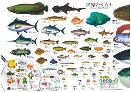 Fish Animal Crossing Fish Animal Crossing Animals