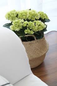 Pin Von Ikea Bratislava Auf Napisali O Nas Blumenarrangements Blumendeko Blumen