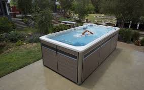Swim Spa Design Ideas Alaskaspa Com The Waterworks
