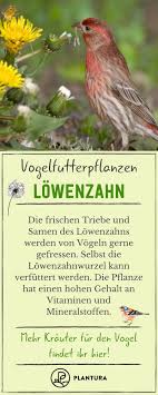 Pin Auf Garten