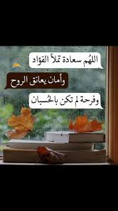 Scan anything, anywhere—no matter what. Lisa Zhang Manager Hunan Tsing Yi Import Export Co Ltd Linkedin