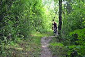 The mountain bike trails at elm creek park reserve follow a woody path before touring a vast, open prairie field complete with a lake. 9 Top Rated Mountain Bike Trails In Minnesota Planetware