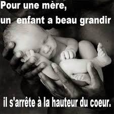 Citations Sur L Amour D Une Mere Citations Amour Maternel Tendresse Anne Geddes