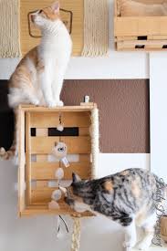 Enthalt Werbung Wohnungskatzen Richtig Halten Diy Kletterwand Aus Alten Weinkisten Katzen Kletterwand Alte Weinkisten Kletterwand