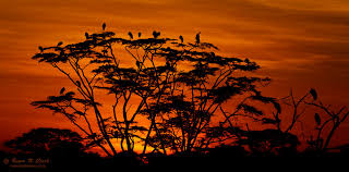 ClarkVision Photograph - Everyone is ...