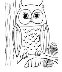 The soft plumage and the teeth they have in the feathers let the air flow freely and, by the lack of impact, reduces the noise of the beating of. Cute Owl Coloring Pages Coloring Home