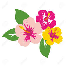 Hibiscus Flower Vector Illustration Royalty Free Cliparts Vectors And Stock Illustration Image 63387033 Download hibiscus flower images and photos. hibiscus flower vector illustration