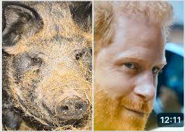 What Prince Harry's Settlement Means for Him and for Britain's Royal Family  (NYT, reporting from London) : r/SaintMeghanMarkle