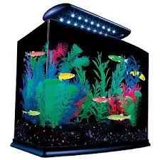 Glofish Aquarium Kit Tetra Fish Tank Light Desktop Water 3 Gallon New Glofish Aquarium Glofish Fish Tank Lights