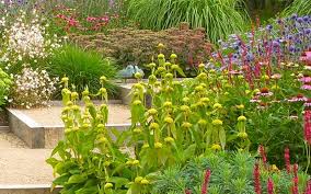 Beautiful Winning Gardens From The Sgd Awards In Pics Plants Pretty Gardens Small Scale Gardening