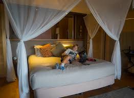 A modern, comfortable and affordable motel situated just up the road from. Zoofari Lodge At Taronga Western Plains Zoo Our Family Review