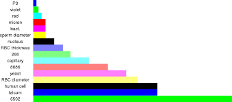With some interesting exceptions, a useful rule of thumb is that the radii of viral capsids themselves are all within a factor of ten of each other, with the smaller viruses having a diameter of several tens of nanometers and the larger ones reaching diameters several hundreds of nanometers which is on par with the smallest bacteria (bnid. A Sense Of Scale