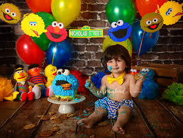 Cake Smash Photography Sydney Campbelltown Macarthur Sesame Street Theme Cookie Mons Sesame Street Birthday Party Sesame Street Birthday Baby Birthday Pictures